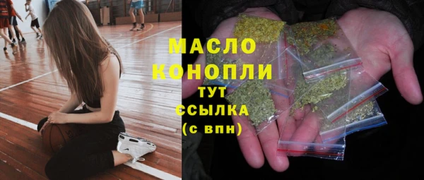 молекула духа Богородск
