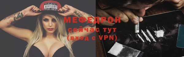 ECSTASY Богданович