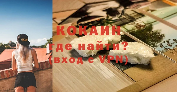 ECSTASY Богданович