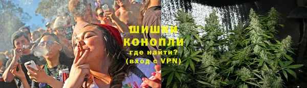ECSTASY Богданович