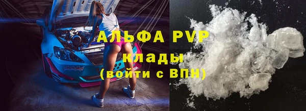 ECSTASY Богданович