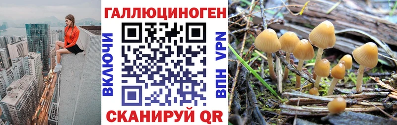 Галлюциногенные грибы GOLDEN TEACHER Краснознаменск