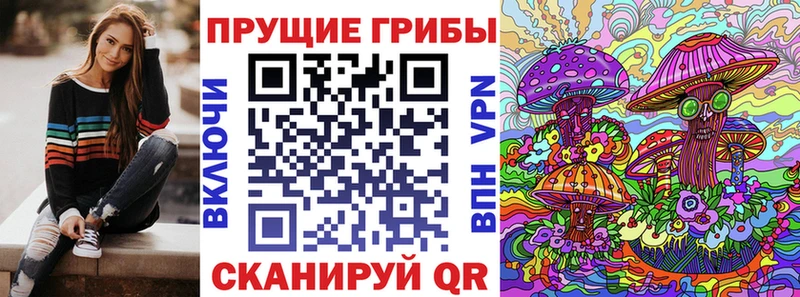 Псилоцибиновые грибы Psilocybe Краснознаменск